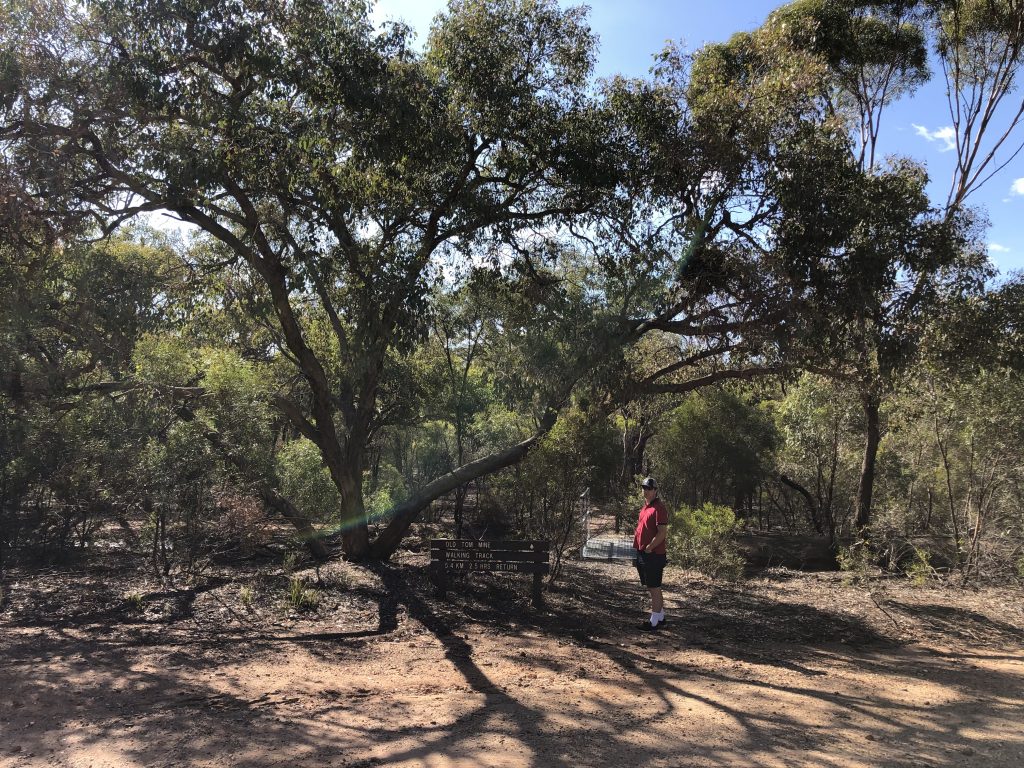 Text Box: Brendan about to undertake the walk to Old Tom Mine site from Shadbolt’s Picnic area

